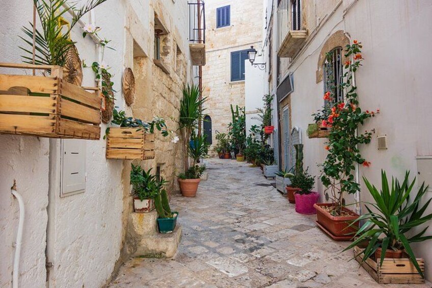 Alberobello Monopoli and Polignano A Mare Puglia Tour 4