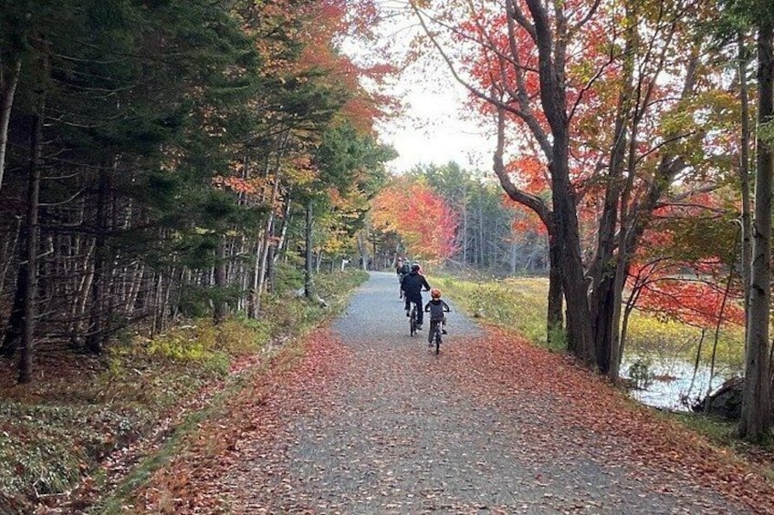 Guided E-Bike Tour of Acadia's Carriage Roads 2