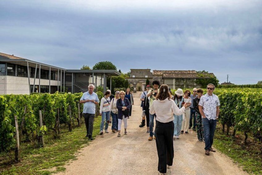 A group of people walking along a vineyard path. 4