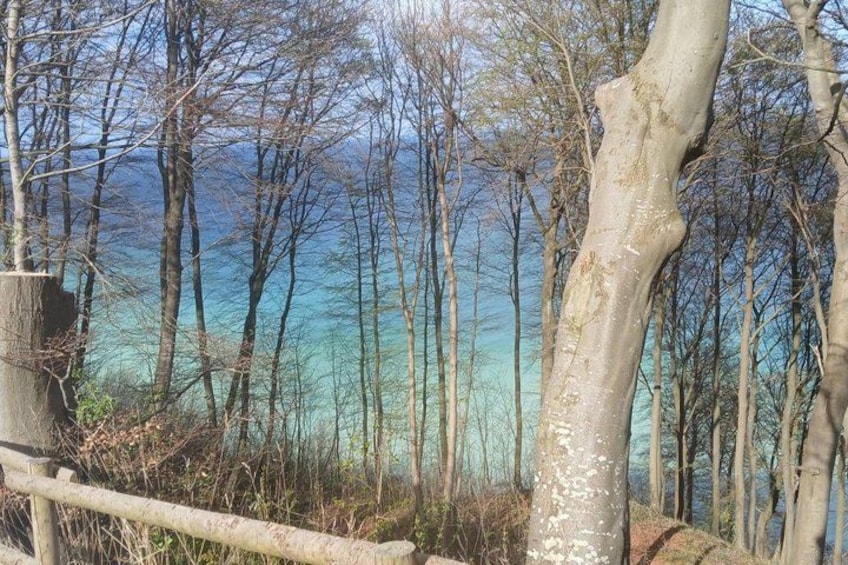 Mons(Møns) Klint A Day in rural Denmark 3
