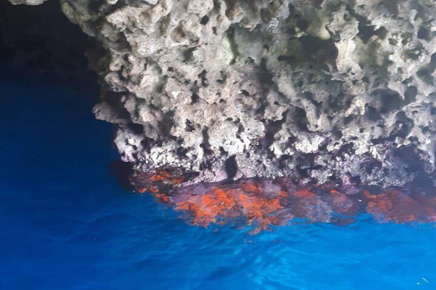 Una scogliera rocciosa con acque rosse e blu alla base. 5