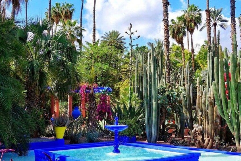Majorelle Garden, YSL & Berber Museum – Tickets & Round Trip 1