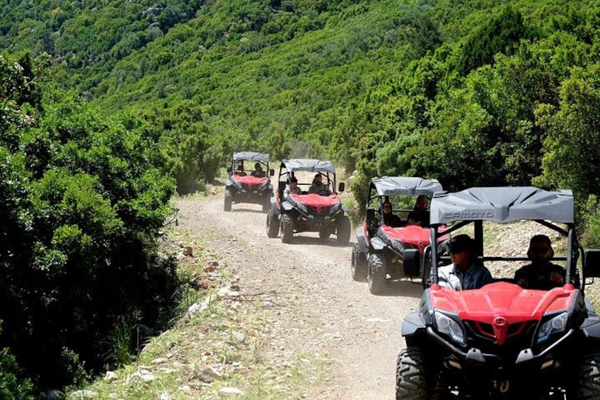 Off-road vehicles on a dirt path surrounded by dense green forest. 4
