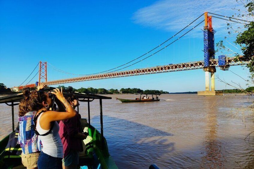 Parrots in Tambopata and search for sloths 5