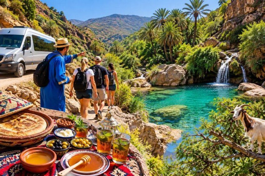 Taghazout to Paradise Valley & Botanical Garden & local Breakfast 4