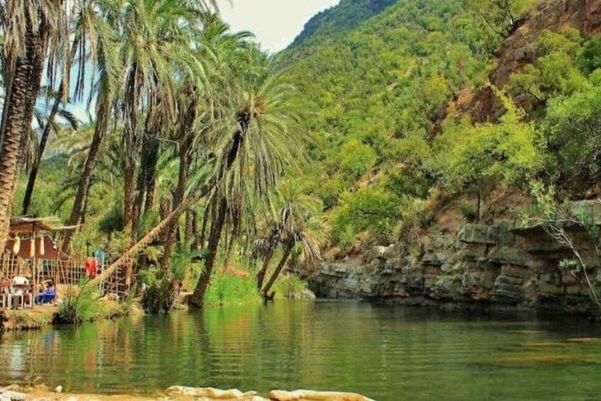 Taghazout to Paradise Valley & Botanical Garden & local Breakfast 1