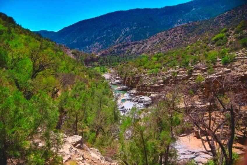 Taghazout to Paradise Valley & Botanical Garden & local Breakfast 5
