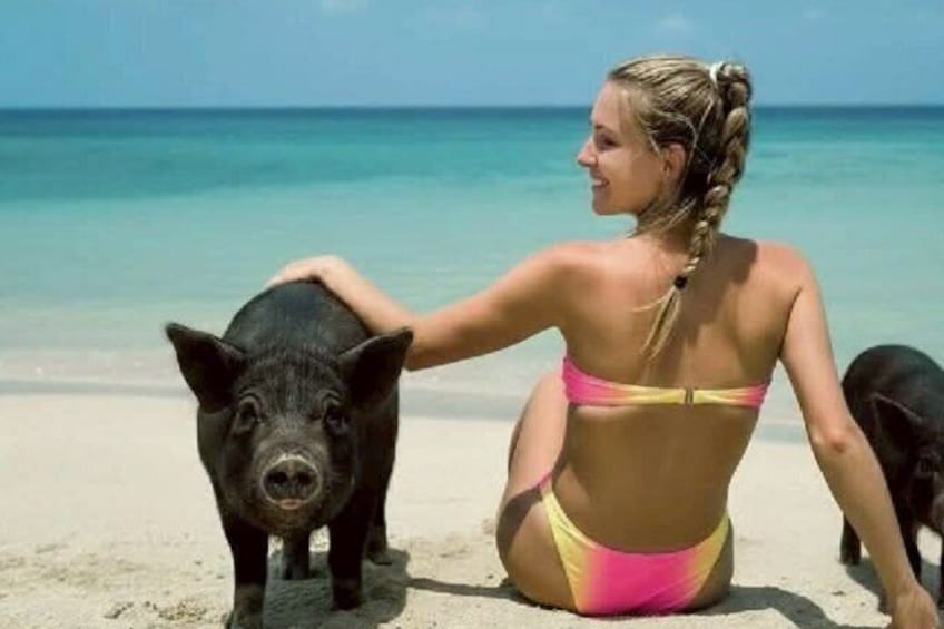 A woman in a bikini sitting on a beach with a pig. 2