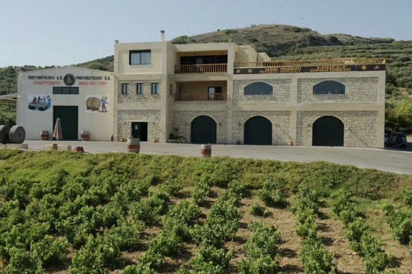 Pnevmatikakis Winery Private Minivan Tour 3