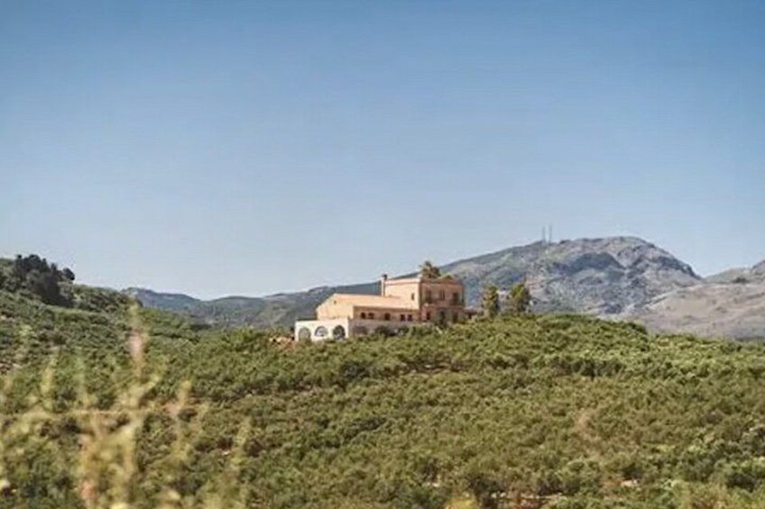 Pnevmatikakis Winery Private Minivan Tour 5
