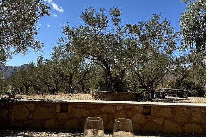 Pnevmatikakis Winery Private Minivan Tour 4