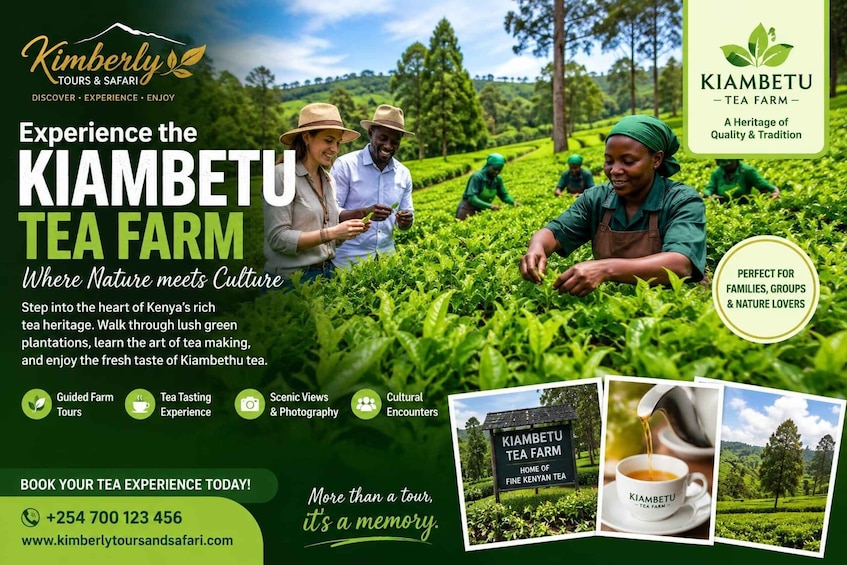 Kiambethu Tea Farm:Tea Picking, Tasting and Farm Lunch . 1