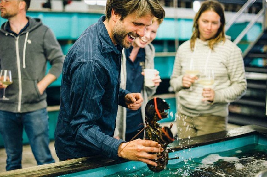 A person holding a lobster in a kitchen setting. 1