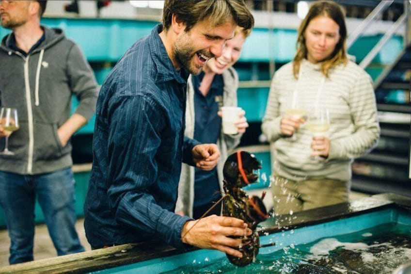 Belfast Bay Cruise with Lobster Rolls Small Group Experience 1