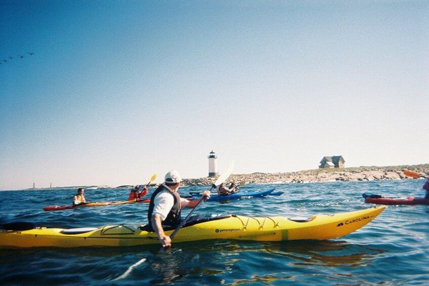 Un grupo de kayakistas en un mar tranquilo con un faro y un afloramiento rocoso al fondo. 5