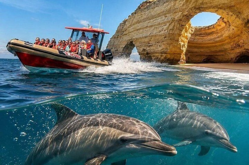Lagos: Benagil Caves & Dolphin Watching Combo, Marine Biologist 1