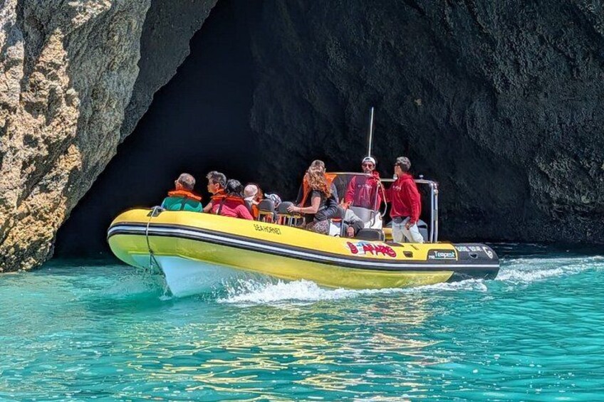 Lagos: Benagil Caves & Dolphin Watching Combo, Marine Biologist 5