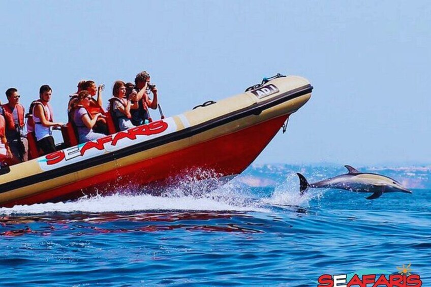 Lagos: Benagil Caves & Dolphin Watching Combo, Marine Biologist 3