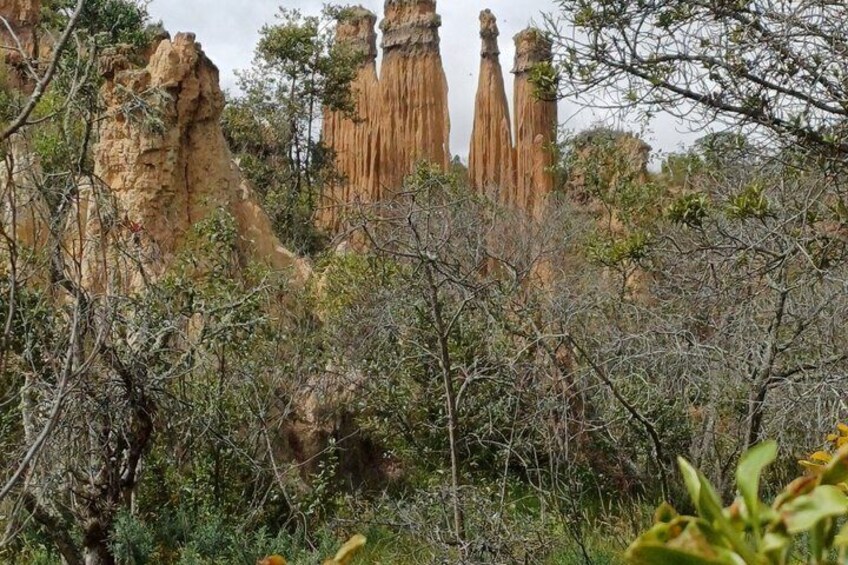 A landscape with tall, slender rock formations amidst dense shrubbery. 2