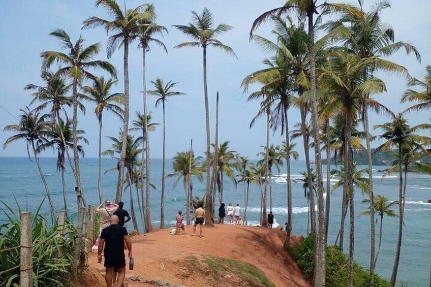 A beach with palm trees and people walking along the shore. 2