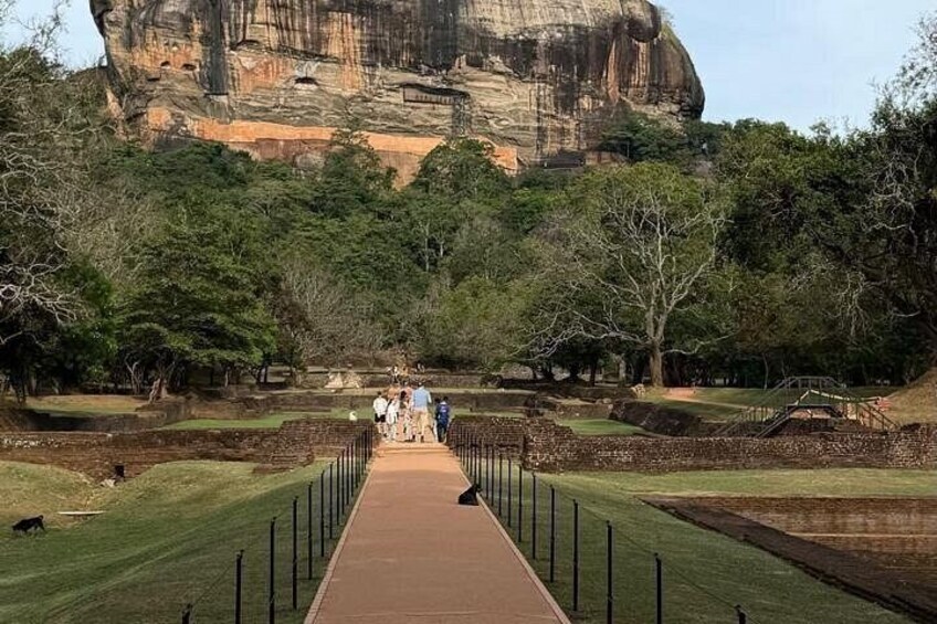 A pathway leading to a large rock formation surrounded by trees. 4