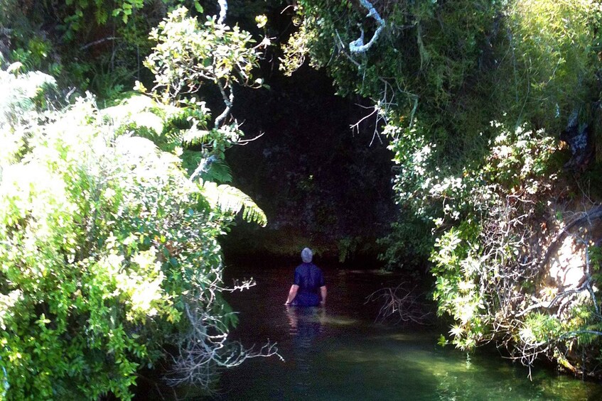 A person wading through a narrow, forested waterway. 2