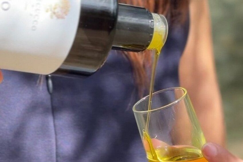 Tuscan Olive Oil Experience at a Family Mill 1