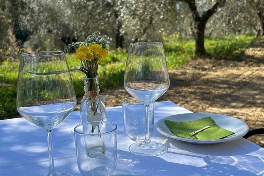 Tuscan Olive Oil Experience at a Family Mill 5