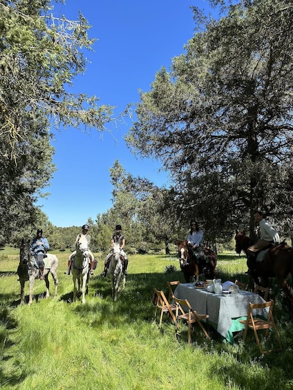 A group of people riding horses in a grassy field with trees and a picnic table. 1