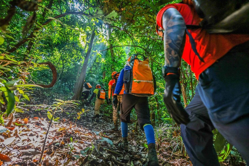 A group of hikers in a forested area with backpacks and orange vests. 5
