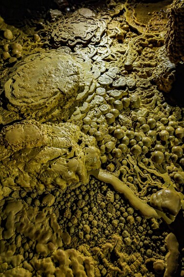 A close-up of a cave interior with stalactites and stalagmites. 2