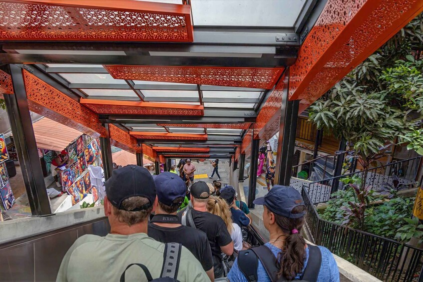 A covered pedestrian walkway with metal railings and a glass ceiling, surrounded by greenery and shops. 3