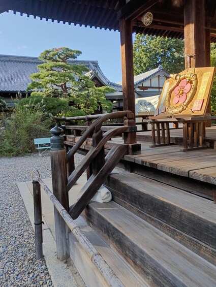 A traditional Japanese building with wooden stairs, a cherry blossom painting, and a bonsai tree. 3