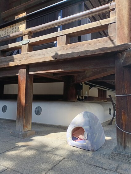 A traditional wooden structure with a stone base and a small, round, fabric-covered object on the ground. 2