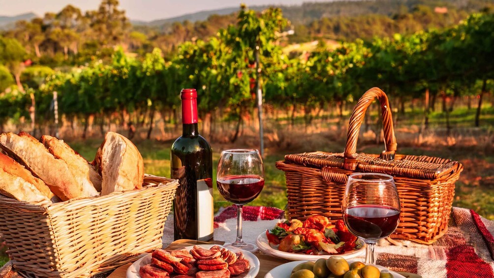 A picnic setup with bread, wine, olives, and a basket in a vineyard. 2