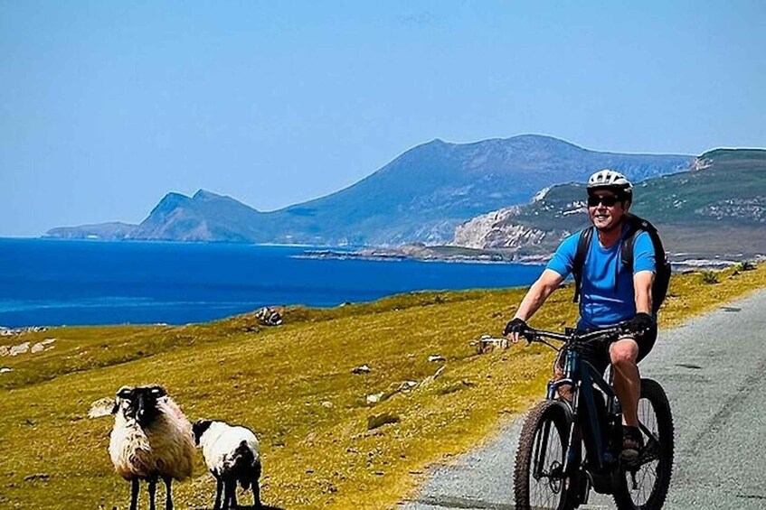 Westport: Great Western Greenway Bike Rental 1
