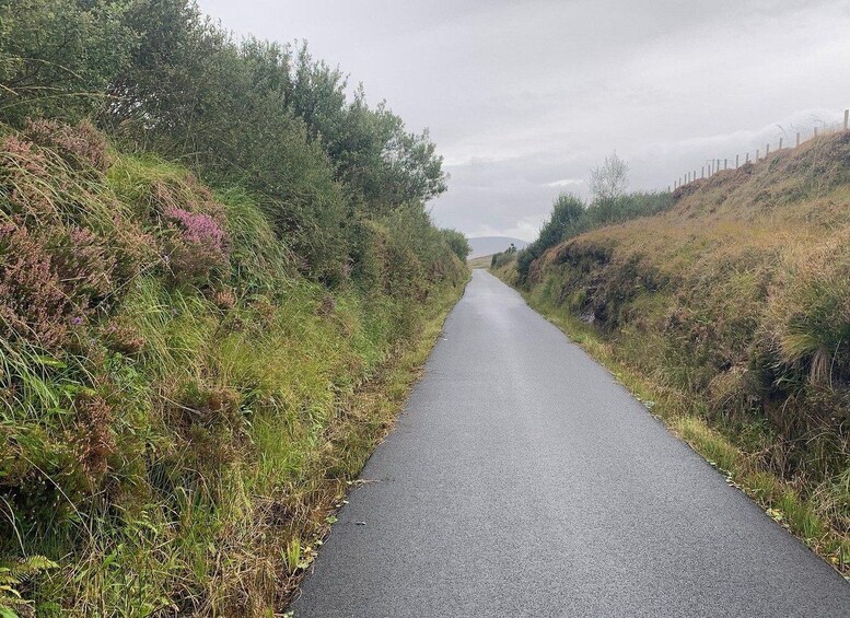 Picture 6 for Activity Westport: Great Western Greenway Bike Rental 4