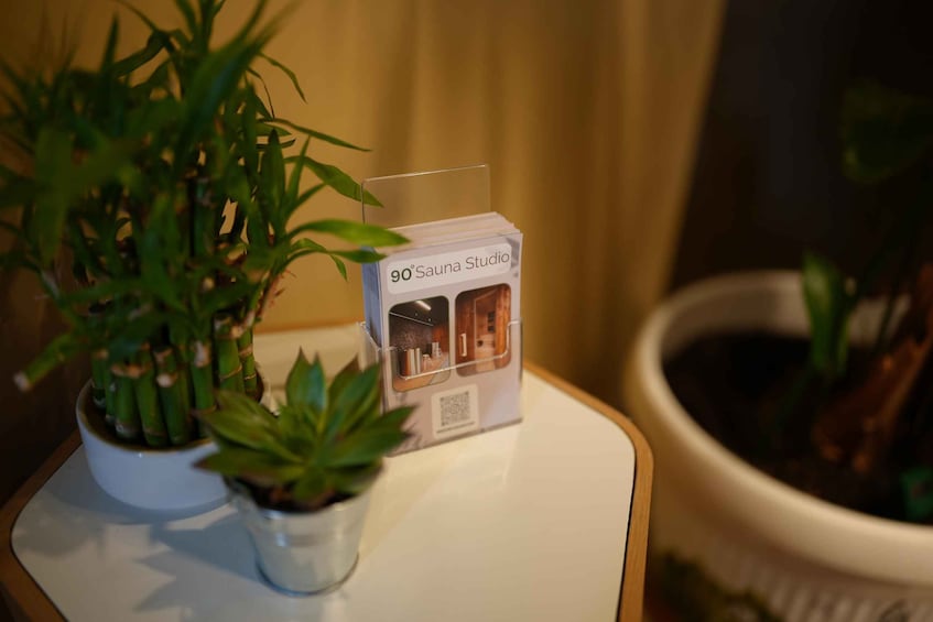 A 90°Sauna Studio package on a white table with two potted plants. 4