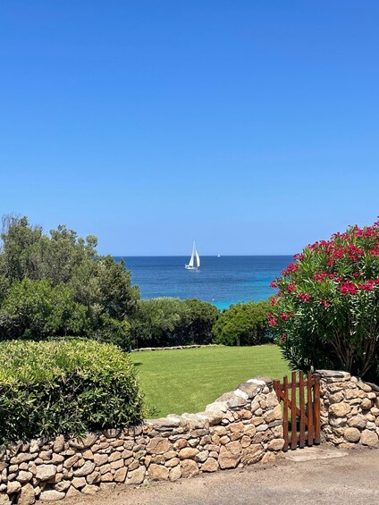 A coastal landscape with a sailboat on the water, a stone wall, and a flowering bush. 3