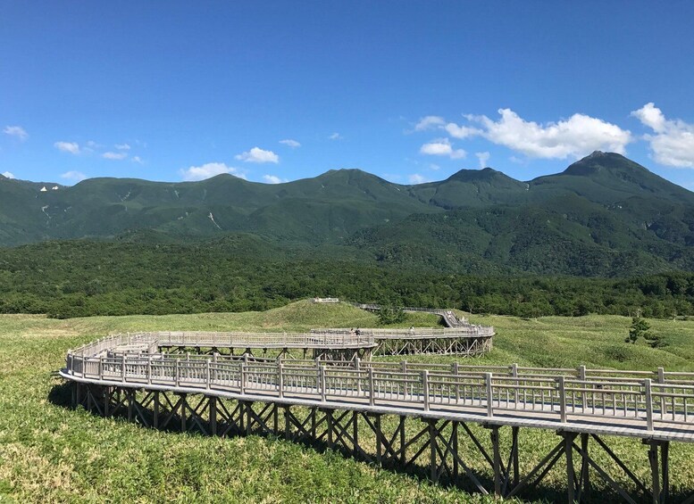 A wooden bridge over a grassy field with mountains in the background. 2