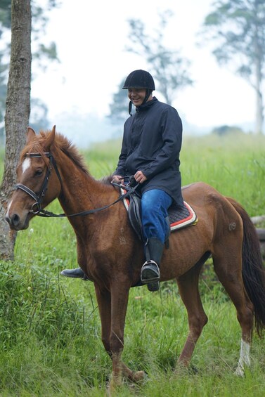 A person riding a horse in a grassy field with trees in the background. 4