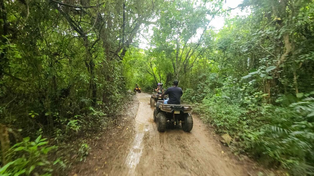 A dirt path through a dense forest with atv riders. 4