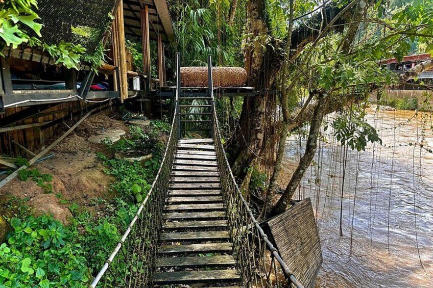 Morning Adventures Zipline and Scenic Cafe with Lunch 2