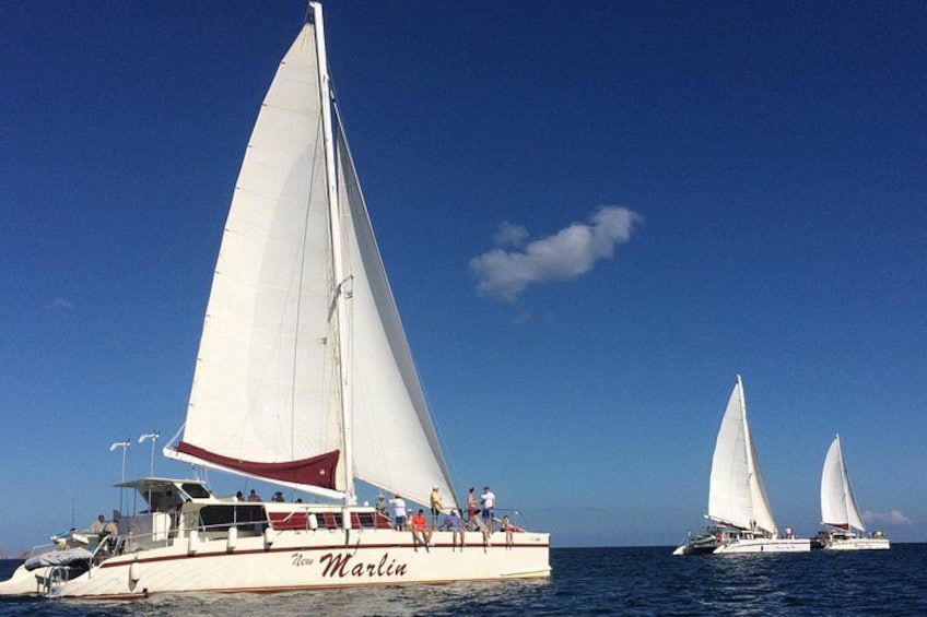 Een zeilboot genaamd 'The Marlin' met witte zeilen, die over de oceaan vaart. 4