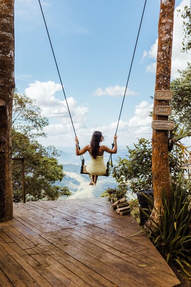 A woman on a swing overlooking a scenic landscape. 5