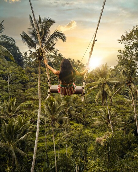 A person swinging on a rope swing amidst a dense tropical forest with palm trees. 4