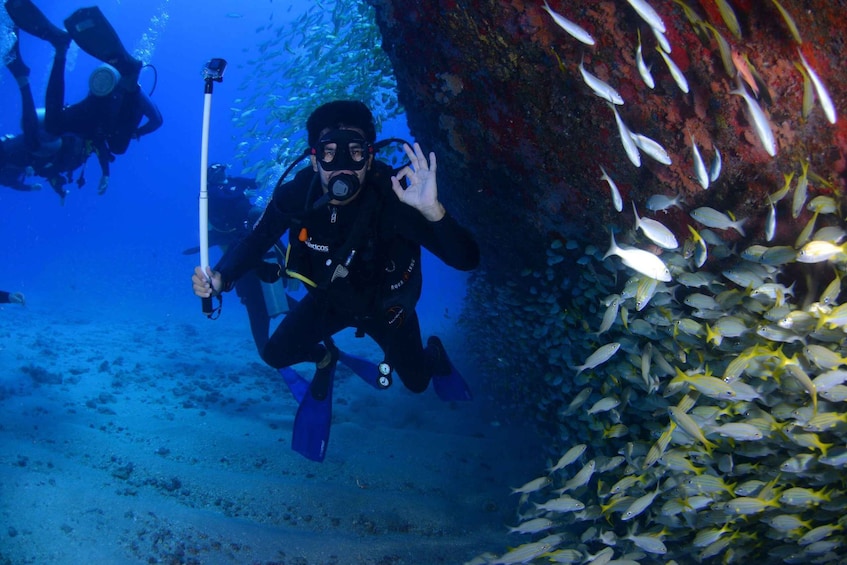 A diver with a camera, surrounded by fish and a large rock formation underwater. 1