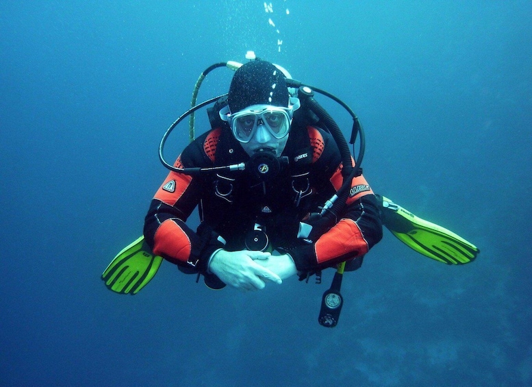 A diver underwater wearing a black and orange wetsuit, fins, and a scuba tank. 5