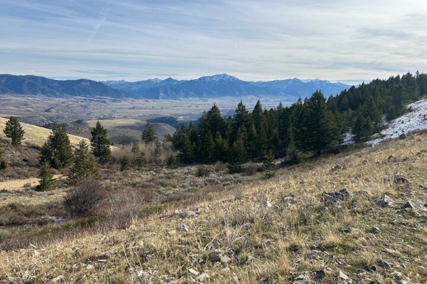 A mountainous landscape with coniferous trees and a valley. 3