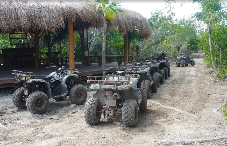 A row of ATVs parked on a dirt path with a thatched-roof structure and tropical vegetation in the background. 2